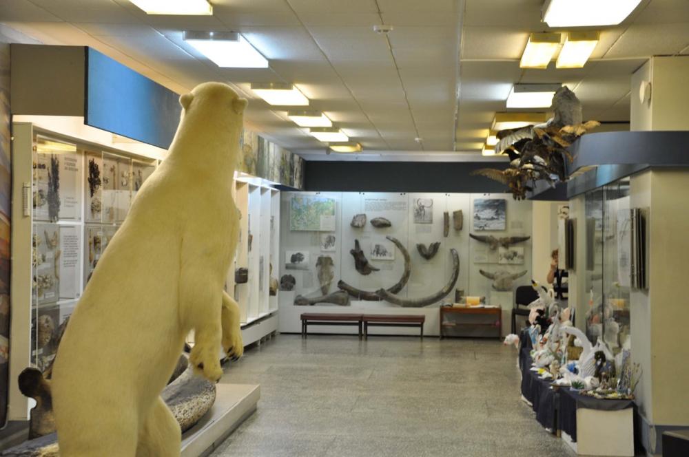 Экспозиция музея