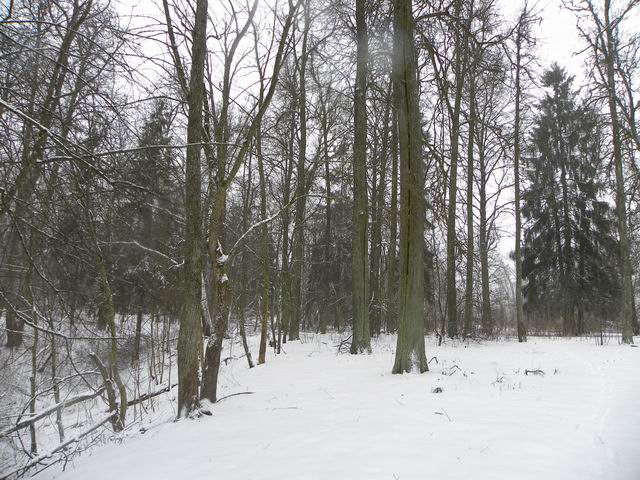 Усадебный парк Усадьба Батово