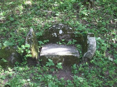 Усадьба Васильчиковых в селе Выбити